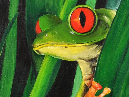 La Grenouille arboricole